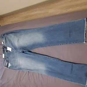 Judy Blue straight leg denim 20w